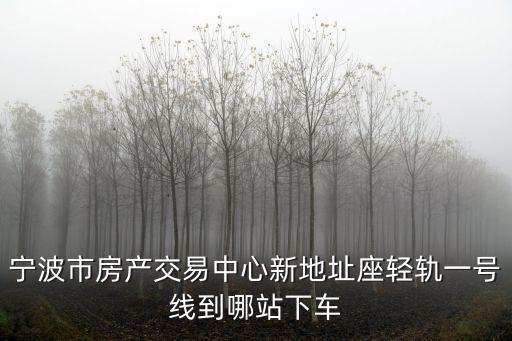 寧波市房產交易中心新地址座輕軌一號線到哪站下車