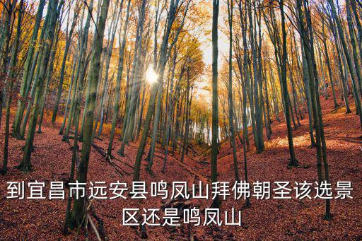 到宜昌市遠(yuǎn)安縣鳴鳳山拜佛朝圣該選景區(qū)還是鳴鳳山