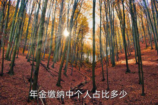 職業(yè)年金繳費比例，請問年金繳納個人與企業(yè)的比例一般是多少