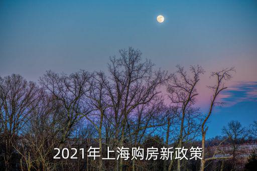2021年上海購房新政策