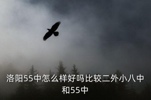 洛陽55中怎么樣好嗎比較二外小八中和55中