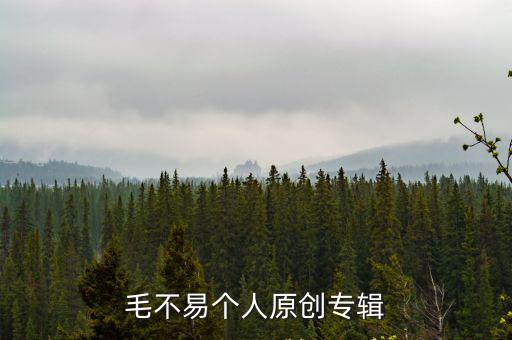 毛不易個人原創專輯