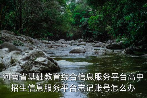 河南省普通高中招生服務平臺，河南省普通高校招生考生服務平臺工作進度欄找不到