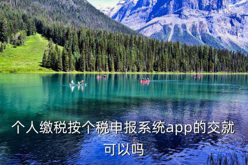 個人繳稅按個稅申報系統app的交就可以嗎