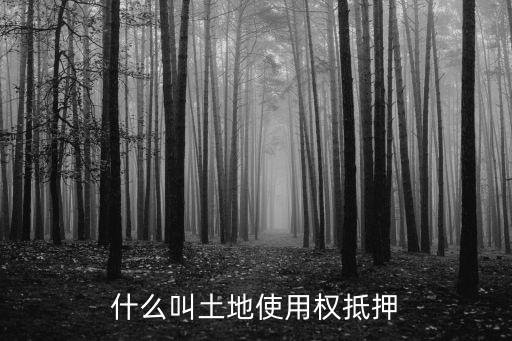 土地抵押，什么叫土地使用權(quán)抵押