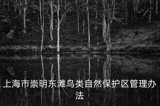 崇明東灘，上海崇明島東灘濕地公園是否有螃蟹