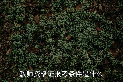 教師資格證報考條件是什么