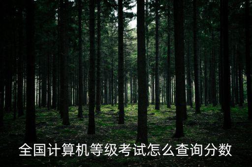 計(jì)算機(jī)成績(jī)查詢?nèi)肟冢珖?guó)計(jì)算機(jī)等級(jí)考試成績(jī)查詢網(wǎng)