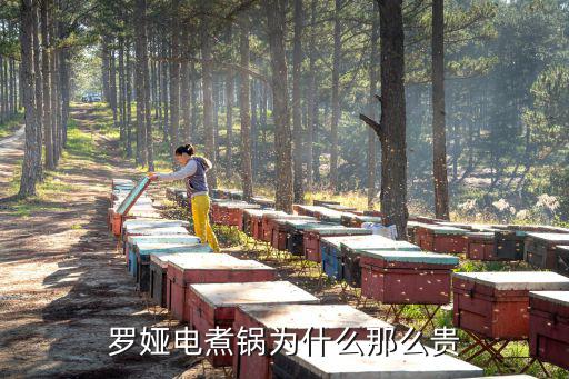 羅婭電煮鍋為什么那么貴