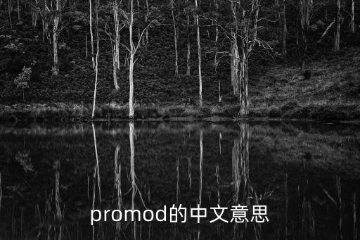 promod，PROMOD 是個什么意思