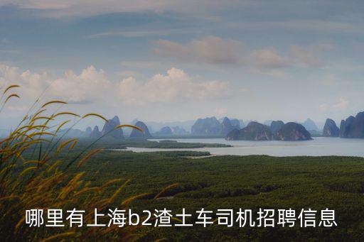 哪里有上海b2渣土車司機招聘信息