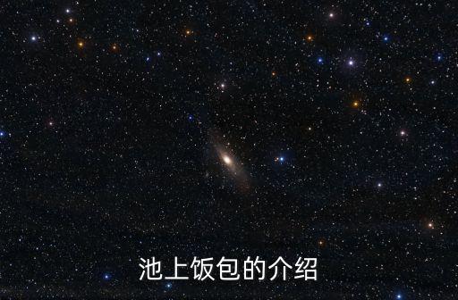 池上便當(dāng)，龍港的池上便當(dāng)號(hào)碼是