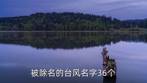 被除名的臺風名字36個