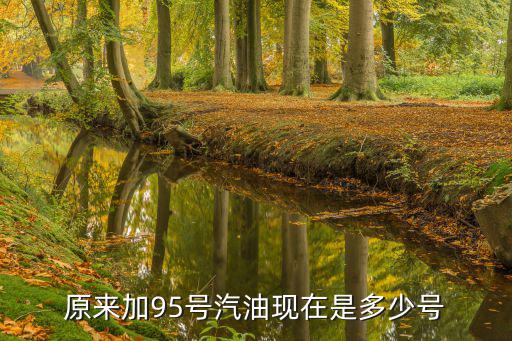 95汽油今天價格，原來加95號汽油現在是多少號
