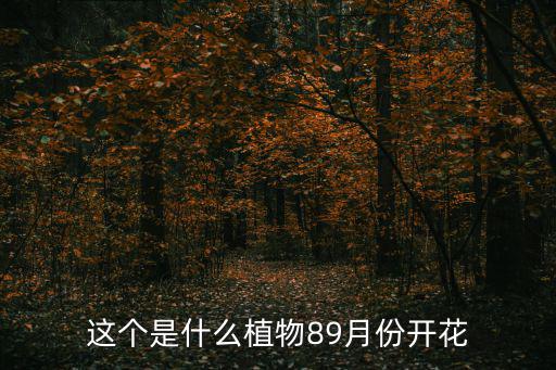 杭子梢，這個是什么植物89月份開花
