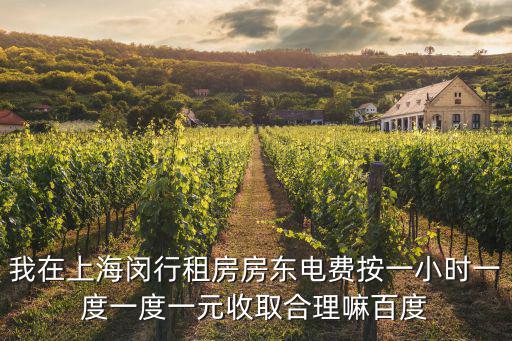 我在上海閔行租房房東電費按一小時一度一度一元收取合理嘛百度
