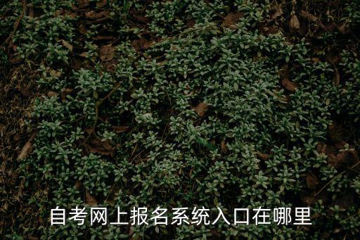 自考網(wǎng)上報名系統(tǒng)入口在哪里