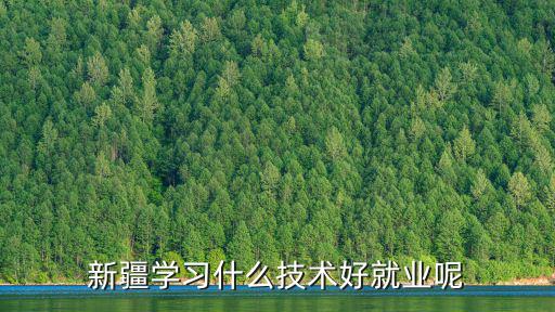 新疆專業技術，新疆學習什么技術好就業呢