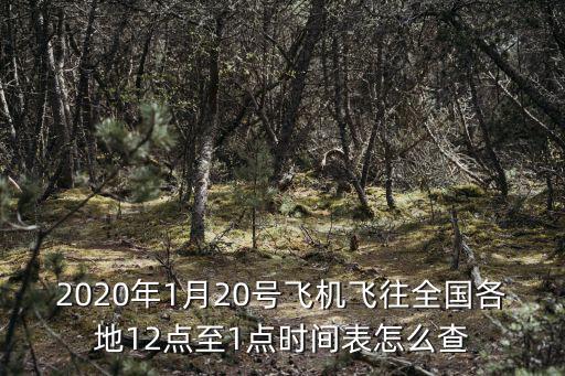2020年1月20號飛機飛往全國各地12點至1點時間表怎么查
