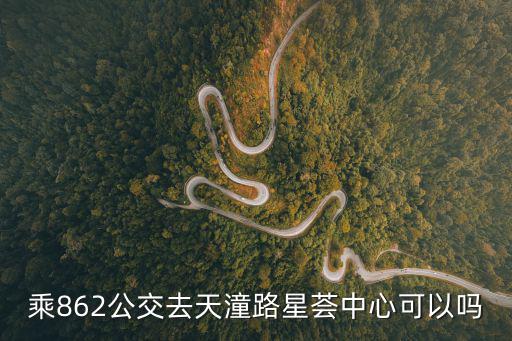 乘862公交去天潼路星薈中心可以嗎