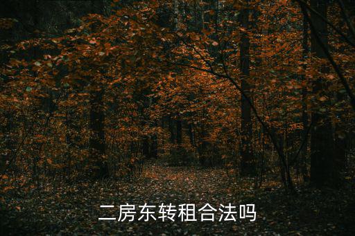 二房東轉租合法嗎，二房東轉租合法嗎