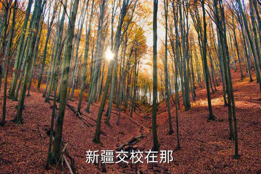新疆交校在那