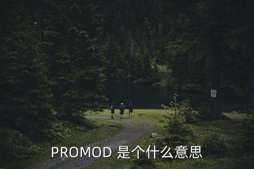 PROMOD 是個什么意思