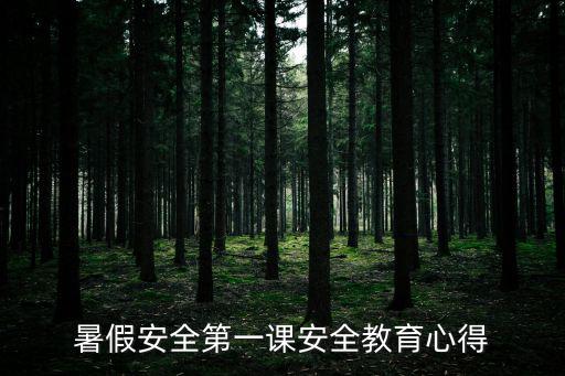 暑假安全第一課安全教育心得