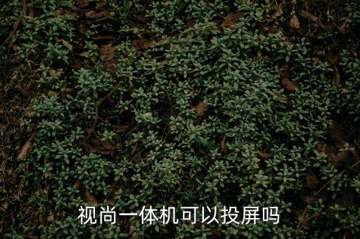 視尚一體機可以投屏嗎