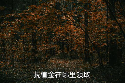 撫恤金怎么領(lǐng)取，撫恤金從哪里領(lǐng)