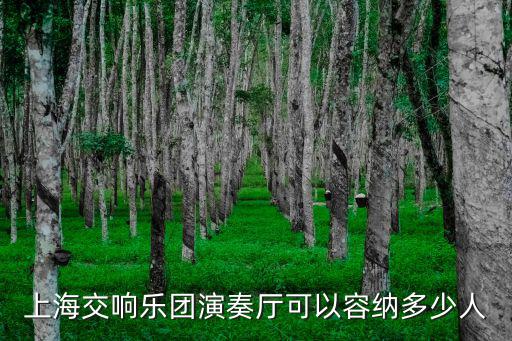 上海交響樂團(tuán)音樂廳，地鐵16號線怎么去捷豹上海交響樂團(tuán)音樂廳