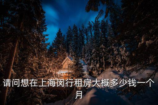 上海閔行租房，上海交大閔行校區附近租房子一居室要多少錢