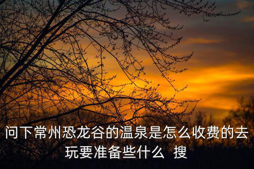 問(wèn)下常州恐龍谷的溫泉是怎么收費(fèi)的去玩要準(zhǔn)備些什么  搜