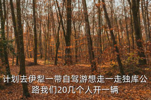 計(jì)劃去伊犁一帶自駕游想走一走獨(dú)庫公路我們20幾個(gè)人開一輛