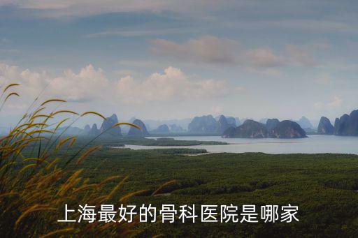 上海最好的骨科醫(yī)院是哪家
