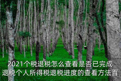 2021個稅退稅怎么查看是否已完成退稅個人所得稅退稅進度的查看方法百