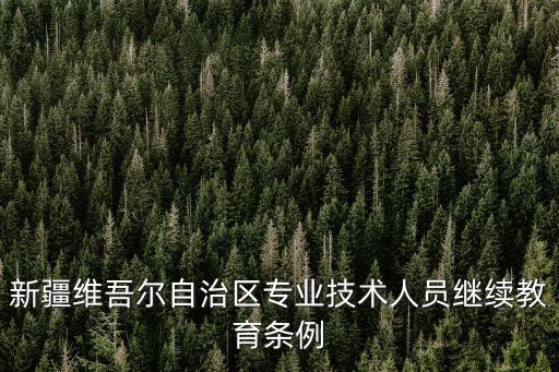新疆維吾爾自治區專業技術人員繼續教育條例