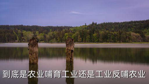 到底是農業哺育工業還是工業反哺農業