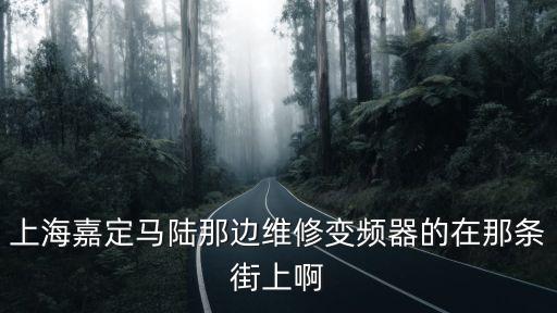 上海嘉定馬陸那邊維修變頻器的在那條街上啊