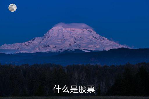 什么是股票