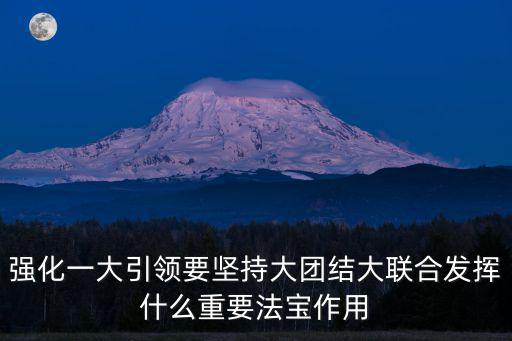 強化一大引領要堅持大團結大聯合發揮什么重要法寶作用