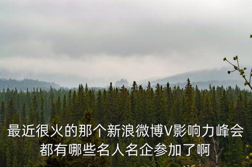 最近很火的那個新浪微博V影響力峰會都有哪些名人名企參加了啊