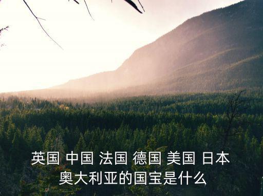 法國的國寶是什么，法國的國寶是什么