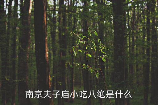 南京夫子廟小吃八絕是什么