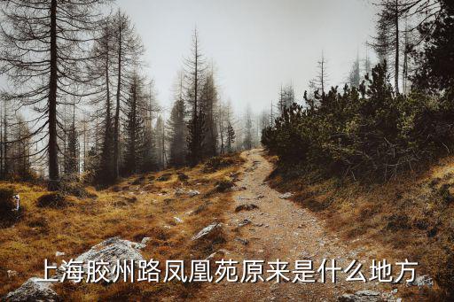 上海膠州路鳳凰苑原來(lái)是什么地方