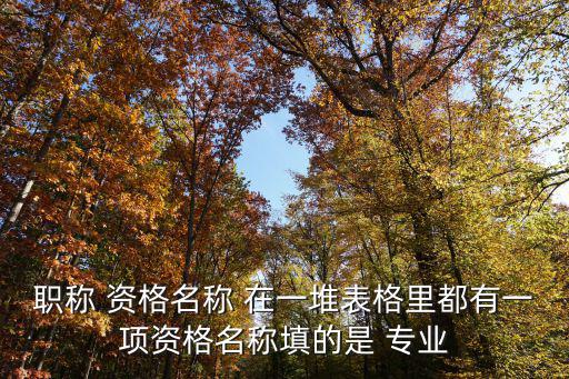 專業技術資格名稱，什么叫專業技術職務資格名稱及等級