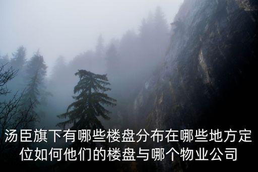 湯臣怡園，滬c拍照能到浦東湯臣嗎