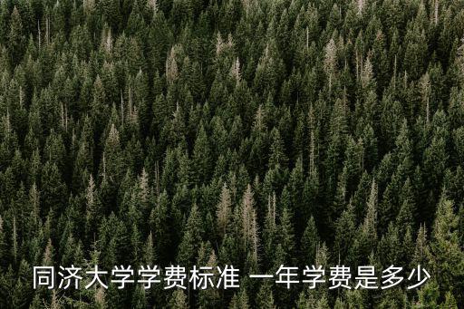 同濟大學學費標準 一年學費是多少