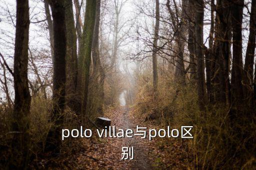 polo villae與polo區別