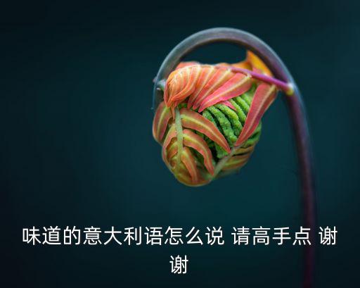 gusto，誰聽過gusto這個牌子的衣服